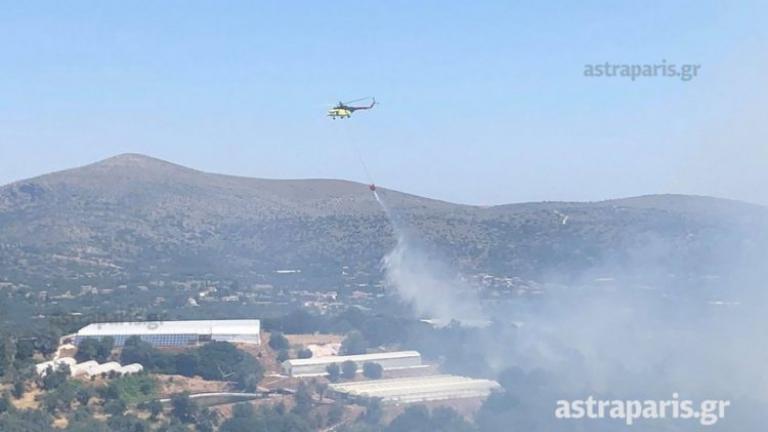 Φωτιά τώρα: Μεγάλη πυρκαγιά στη Χίο