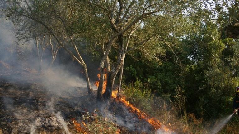 Φωτιά τώρα: Πυρκαγιά σε περιοχή με χαμηλή βλάστηση στη Φυλή Αττικής