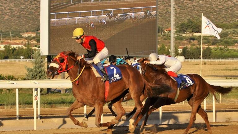 Markopoulo Park: Περισσότερα από 7.000 ευρώ για 7 νικητές στο ΣΚΟΡ 6