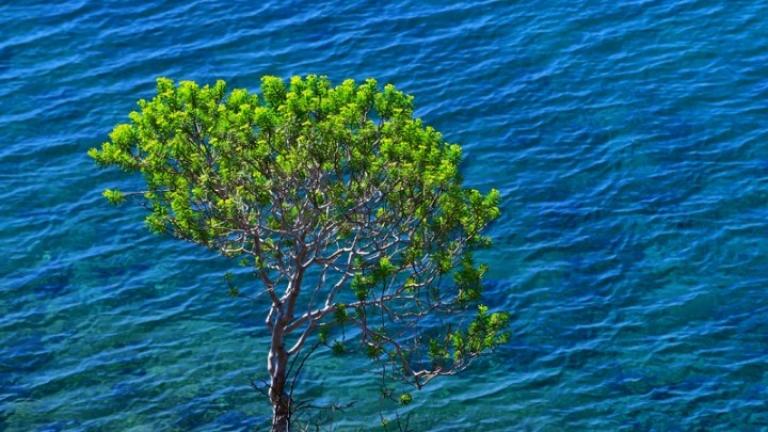 Βελτιωμένος ο καιρός σήμερα (08/07) στο μεγαλύτερο μέρος της χώρας