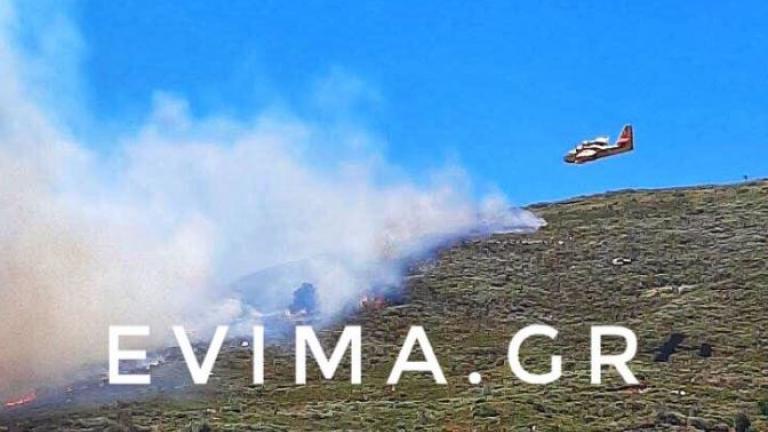 Πυρκαγιά στην Κάρυστο – Ισχυροί άνεμοι δυσκολεύουν τις πυροσβεστικές δυνάμεις 