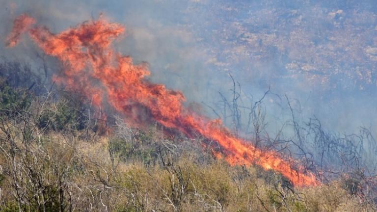 Φωτιά τώρα: Πυρκαγιά σε δασική έκταση στον Δήμο Σπάτων-Αρτέμιδας