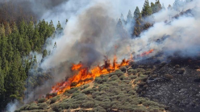 Πολύ υψηλός ο κίνδυνος πυρκαγιάς για την Πέμπτη (30/07) σε τέσσερις περιφέρειες