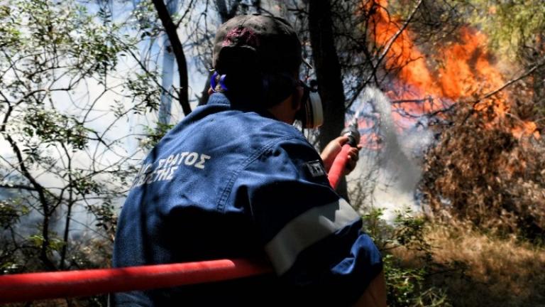 Σε ύφεση η πυρκαγιά στις Κεχριές - Δεν υπάρχει ενεργό μέτωπο