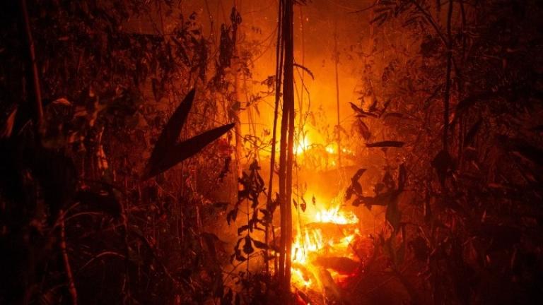 Βραζιλία: Ο υψηλότερος αριθμός πυρκαγιών τα τελευταία 13 χρόνια καταγράφηκε τον Ιούνιο στον Αμαζόνιο