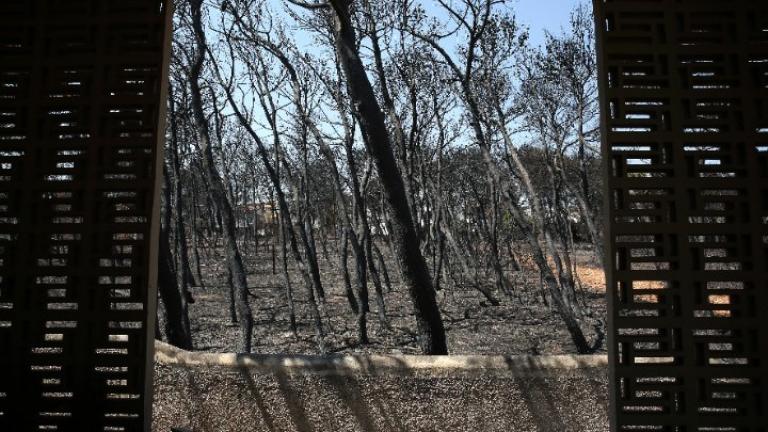 Δικαίωμα διορισμού στο δημόσιο για τους βαριά εγκαυματίες στο Μάτι