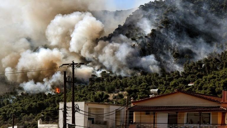 Εξήντα μία δασικές πυρκαγιές εκδηλώθηκαν το τελευταίο 24ωρο σε όλη την Ελλάδα