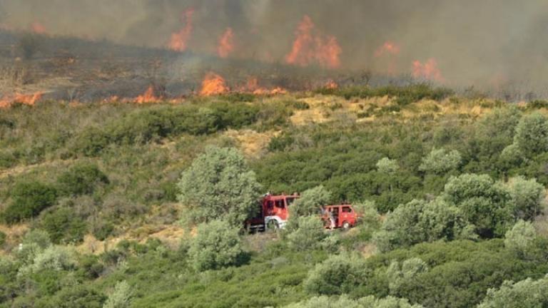 Φωτιά σε δασική έκταση στην Ανατολική Μάνη