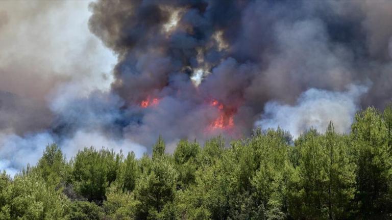 Ισχυρή φωτιά στα Τσίπιανα Αρχαίας Ολυμπίας