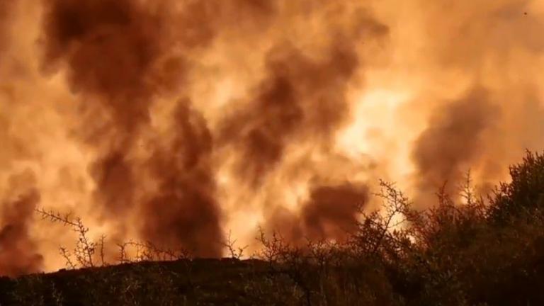 Νύχτα αγωνίας στην Λακωνία από δύο μεγάλα πύρινα μέτωπα (ΒΙΝΤΕΟ-ΦΩΤΟ)