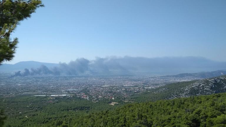 Βίντεο του Αστεροσκοπείου: H διασπορά του καπνού από την πυρκαγιά της Μεταμόρφωσης