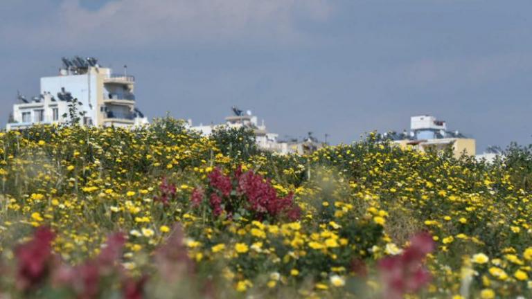 Πρόγνωση καιρού για την Τρίτη 11/8