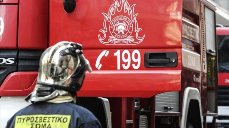 Λαμία: Πυρκαγιά στην περιοχή Καμηλόβρυση