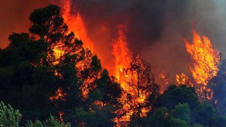 Πυρκαγιά στην Κεφαλονιά: Δυσκολη η νύχτα που πέρασε 