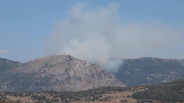 Πυρκαγιά στην Κάτω Σκαφιδωτή Πρεβέζης