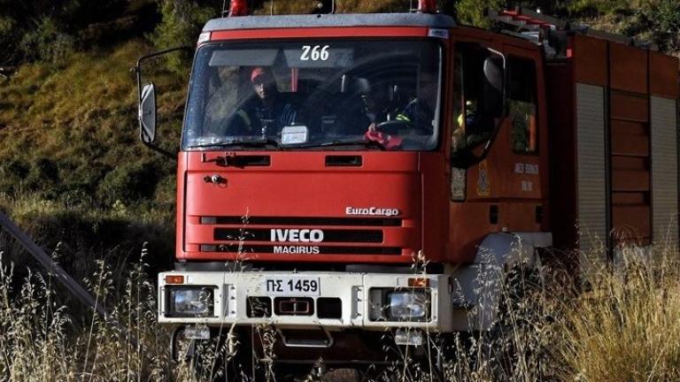 Ηλεία: Υπό μερικό έλεγχο τέθηκε η φωτιά στην περιοχή Κολοκυθάς