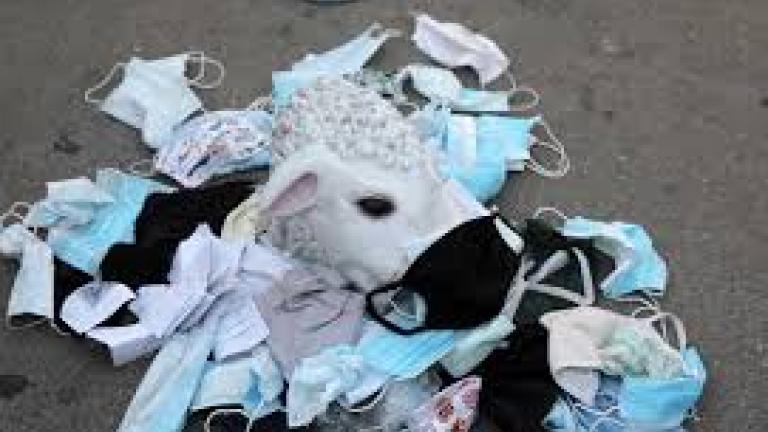 Κορωνοϊός: Διώξεις και αυτόφωρο για τους αρνητές της μάσκας – Τι αναφέρει εγκύκλιος του εισαγγελέα