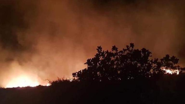 Φωτιά σήμερα: Πυρκαγιά στη Φιλιππιάδα Πρέβεζας – Ολονύχτια μάχη με τις φλόγες στον Έβρο