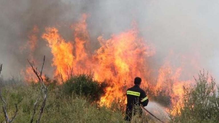 Φωτιά στην περιοχή Κουταλάς Κορινθίας