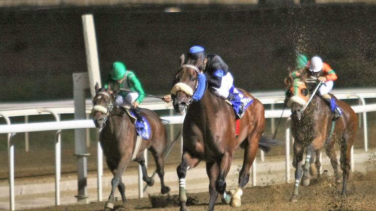 Markopoulo Park: Στον ΧΑΒΙΛΝΤΑΡ το Κύπελλο Ακροπόλεως - Πλήθος νικητών στο ΣΚΟΡ 6