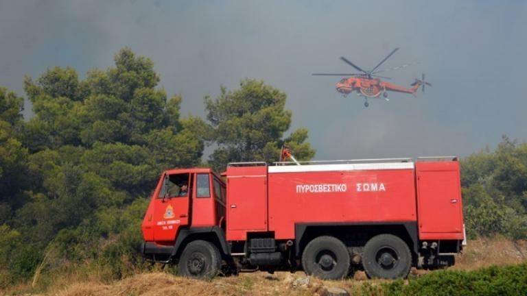 Πολύ υψηλός o κίνδυνος πυρκαγιάς σε πέντε περιφέρειες - Τι πρέπει να αποφεύγουν οι πολίτες