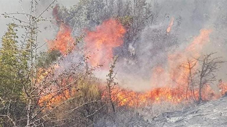 Φωτιά στον Έβρο: Καίγεται ο Δρυμός της Δαδιάς (ΒΙΝΤΕΟ)