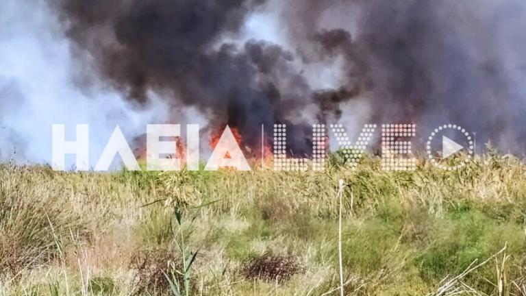 Φωτιά στη Μανωλάδα Ηλείας