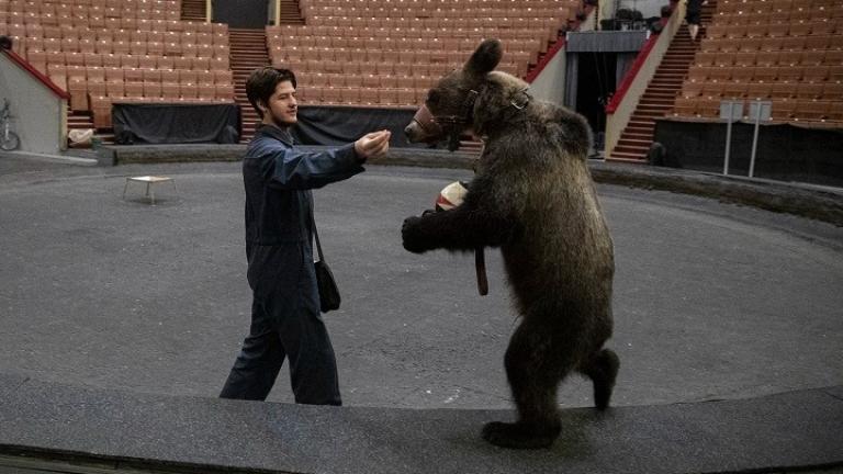 Αρκούδα επιτέθηκε σε υπάλληλο του τσίρκου Μόσχας, ο οποίος κατέληξε στο νοσοκομείο