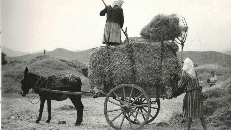 Σαν σήμερα 19 Νοεμβρίου 1960 δίνεται για πρώτη φορά σύνταξη στους αγρότες