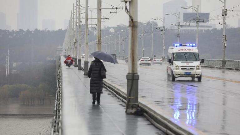 Ο ΠΟΥ διερευνά την προέλευση του COVID-19 - Έργο εξαιρετικά δύσκολο