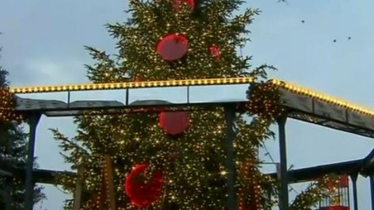 Χριστούγεννα 2020: 9000 λαμπιόνια στο χριστουγεννιάτικο δέντρο της Θεσσαλονίκης
