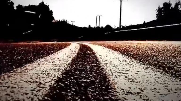 Φώς στο τούνελ (04/12): Η περίεργη εξαφάνιση σε χωριό της Πελοποννήσου 