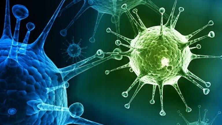 Υπάρχουν τουλάχιστον 320.000 άγνωστοι ιοί που μπορεί να μολύνουν τα θηλαστικά