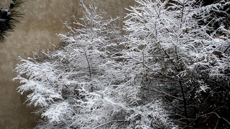 Ποδαρικό με κρύο και τις πρώτες νιφάδες χιονιού στα περίχωρα της Θεσσαλονίκης έκανε ο Δεκέμβριος (ΒΙΝΤΕΟ-ΦΩΤΟ)