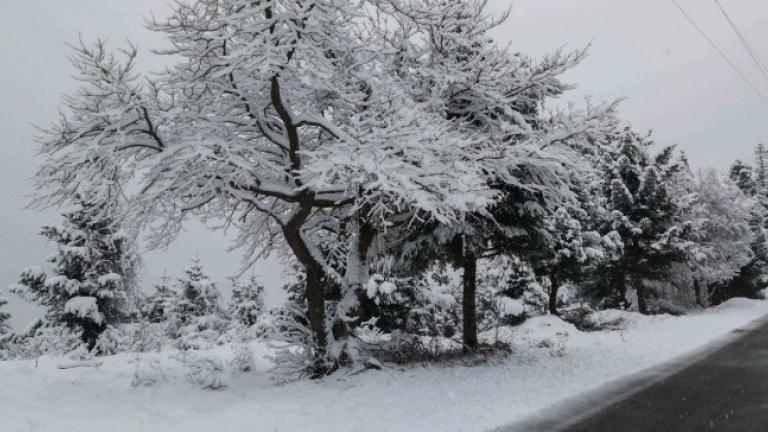 Σε ποιες περιοχές της χώρας χρειάζεται ιδιαίτερη προσοχή - Τι συνιστά η Πολιτική Προστασία