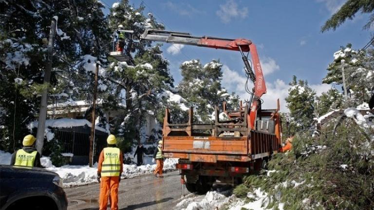 ΔΕΔΔΗΕ: Με άδεια από το Δασαρχείο πραγματοποιείται το κλάδεμα των δέντρων