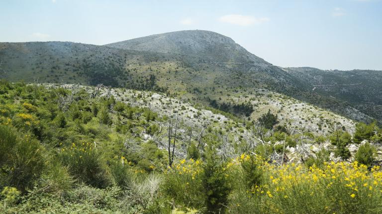  (EUROKINISSI / Βασίλης Ρούγγος) 