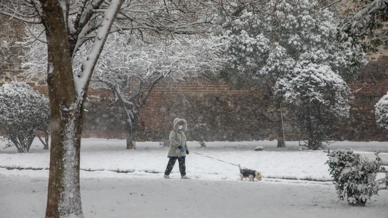 Καιρός για Σάββατο 13/2: Χιονοπτώσεις - Θυελλώδεις άνεμοι - Έως μείον 5 η θερμοκρασία (ΒΙΝΤΕΟ)