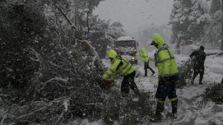 Ν. Χαρδαλιάς: Σήμερα, μέχρι αργά το βράδυ, η συντριπτική πλειονότητα των βλαβών θα έχουν αποκατασταθεί