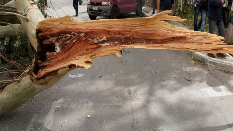 Αισθητή πτώση της θερμοκρασίας και προβλήματα από τους θυελλώδεις ανέμους