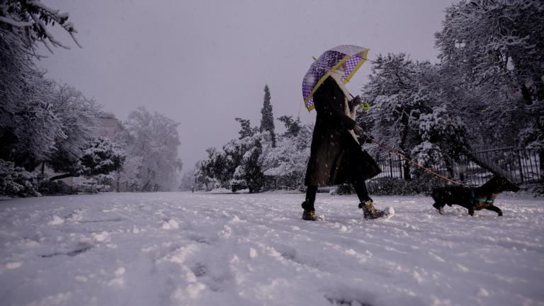 Μήδεια: Πώς θα εξελιχτεί η κακοκαιρία