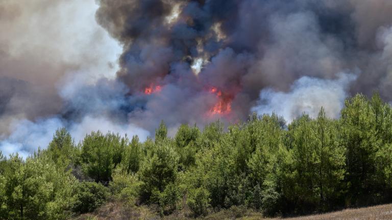 (EUROKINISSI/ILIALIVE.GR/ΓΙΑΝΝΗΣ ΣΠΥΡΟΥΝΗΣ)