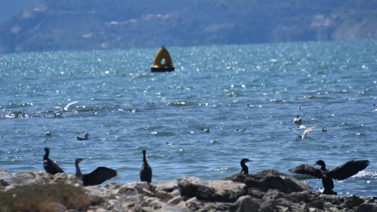 "Επιστρέφει" η άνοιξη - Καιρός για Σάββατο 27/3: Ηλιοφάνεια και αύξηση της θερμοκρασίας