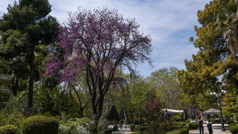 Έως και 10 βαθμούς κελσίου θα ανέβει η θερμοκρασία το Σαββατοκύριακο