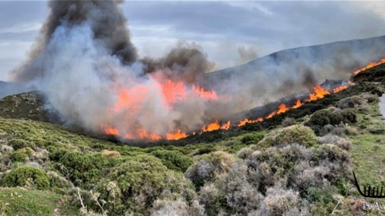 Μεγάλη πυρκαγιά στην Άνδρο: Εκκενώθηκε και δεύτερος οικισμός (ΦΩΤΟ-ΒΙΝΤΕΟ)