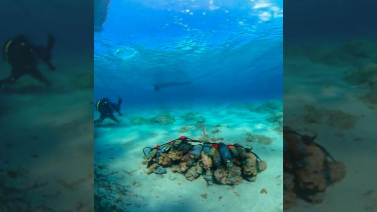 Μονεμβασιά: Εξουδετέρωση βλημάτων του Β΄ Παγκοσμίου Πολέμου, από τον βυθό του λιμανιού