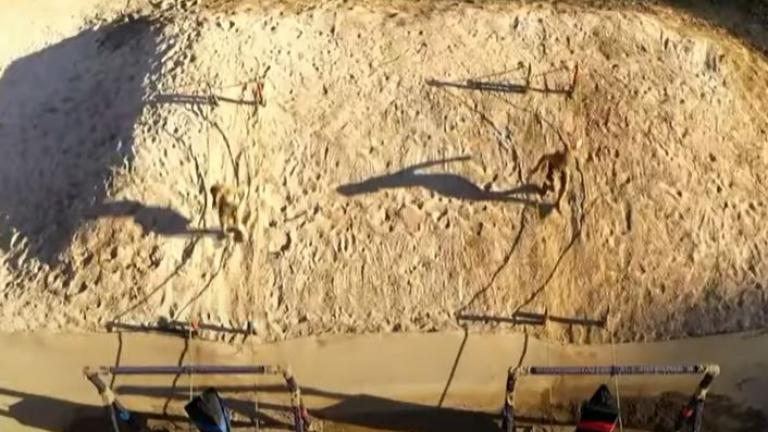 Survivor spoiler (5/4): Ποια ομάδα θα κερδίσει σήμερα την πρώτη ασυλία 