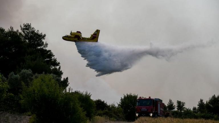 Αρχηγός Πυροσβεστικής: Εικόνα ύφεσης παρουσιάζει η πυρκαγιά στα Γεράνεια Όρη