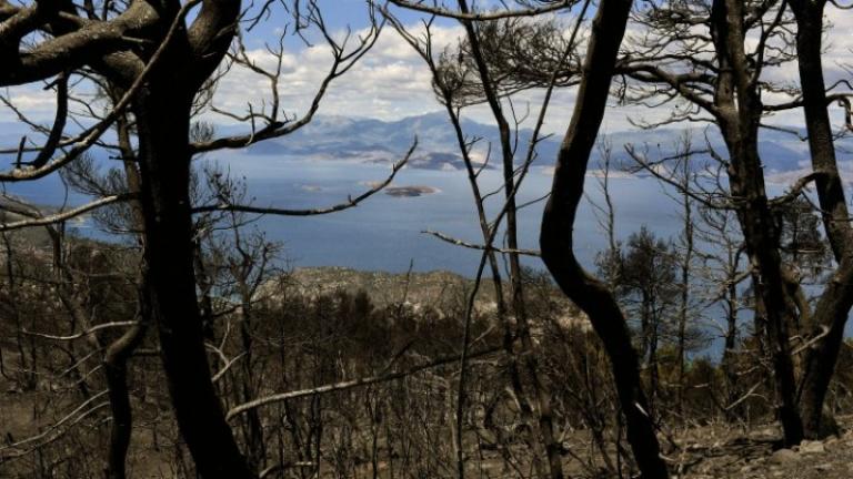Η απόλυτη καταστροφή - 71.300 στρέμματα έκαψε η μεγάλη πυρκαγιά στα Γεράνεια
