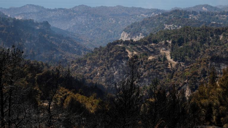 Η πιο καταστροφική της τελευταίας δεκαετίας η πυρκαγιά στα Γεράνεια Όρη - Έκαψε 52.000 στρέμματα δάσους
